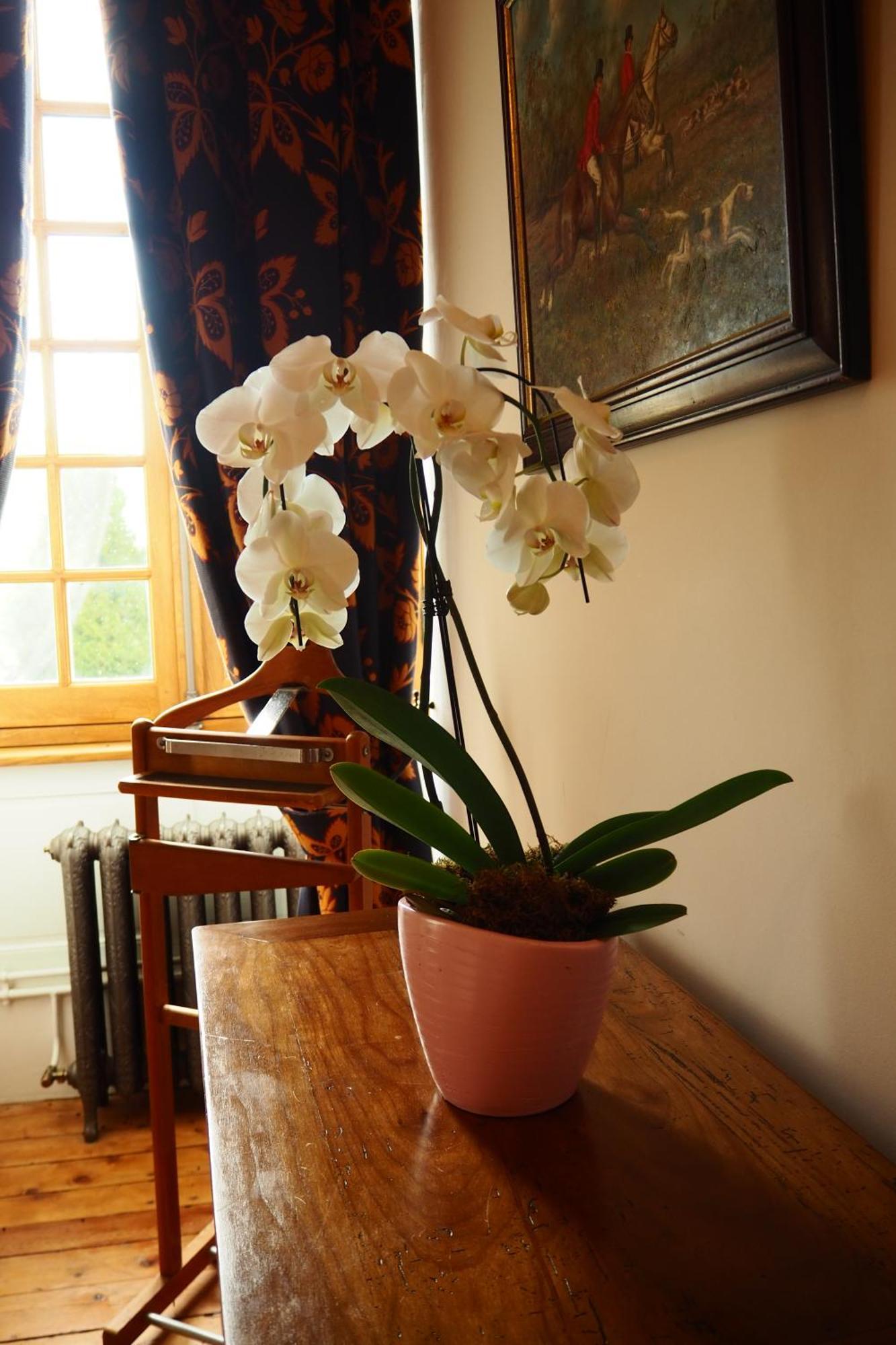 Chateau Isigny, Petit Et Secret Des Chateaux De Charme Bed & Breakfast 4*